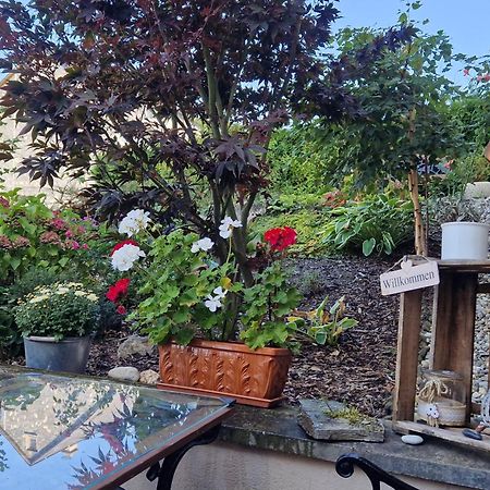 Ferienwohnung Im Moseltal Veldenz المظهر الخارجي الصورة