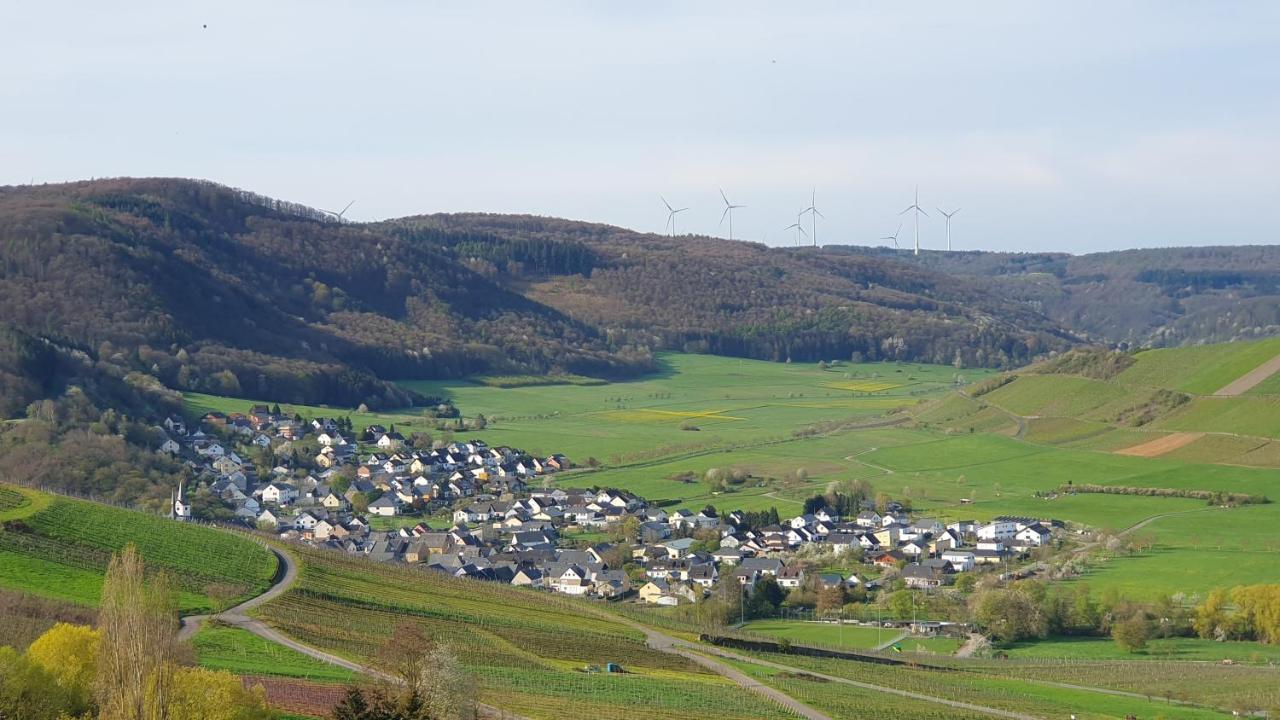 Ferienwohnung Im Moseltal Veldenz المظهر الخارجي الصورة