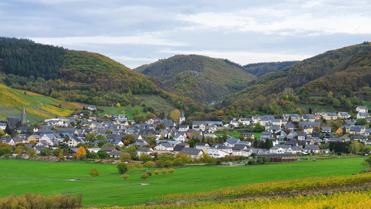 Ferienwohnung Im Moseltal Veldenz المظهر الخارجي الصورة