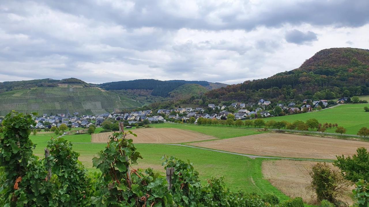 Ferienwohnung Im Moseltal Veldenz المظهر الخارجي الصورة