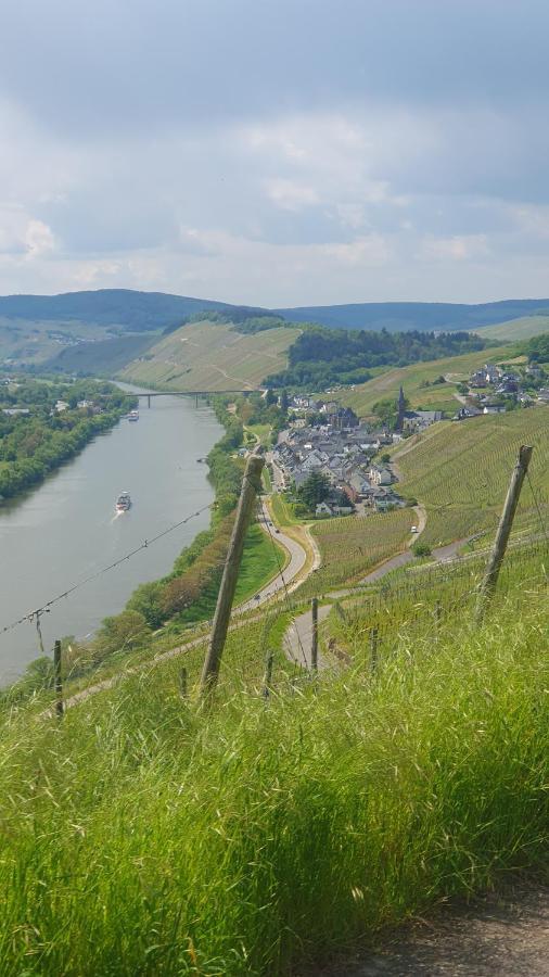 Ferienwohnung Im Moseltal Veldenz المظهر الخارجي الصورة