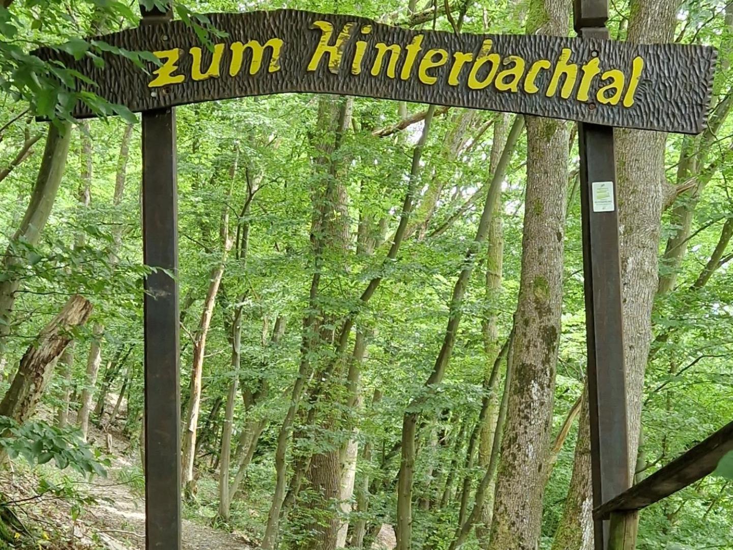 Ferienwohnung Im Moseltal Veldenz المظهر الخارجي الصورة