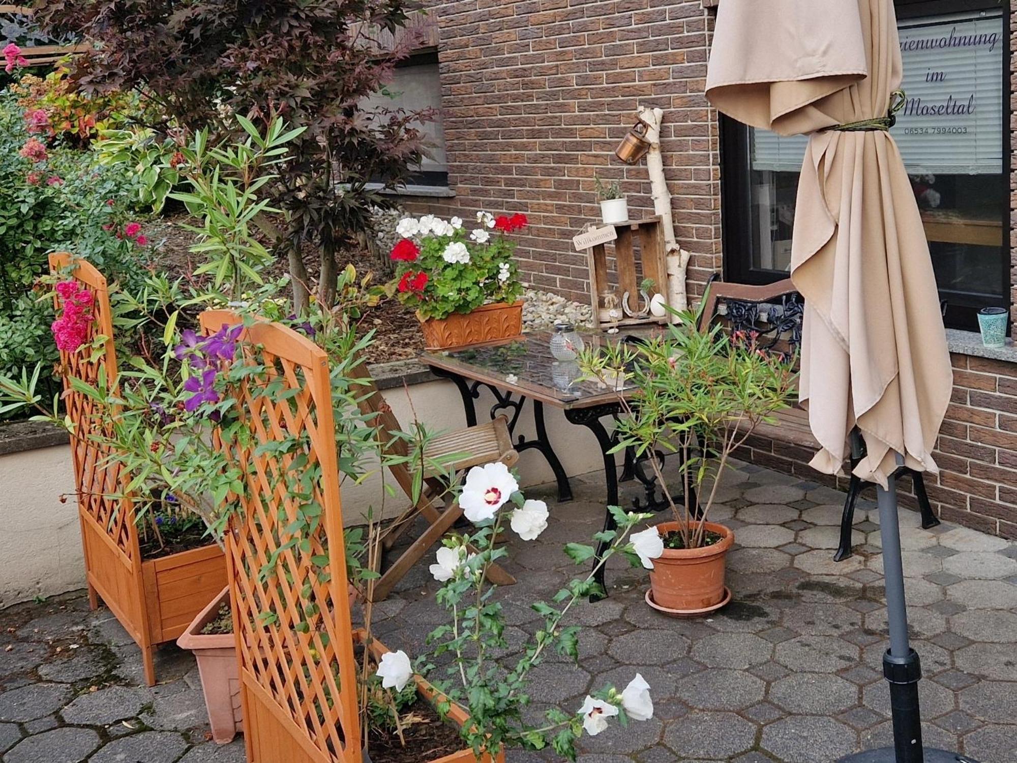 Ferienwohnung Im Moseltal Veldenz المظهر الخارجي الصورة