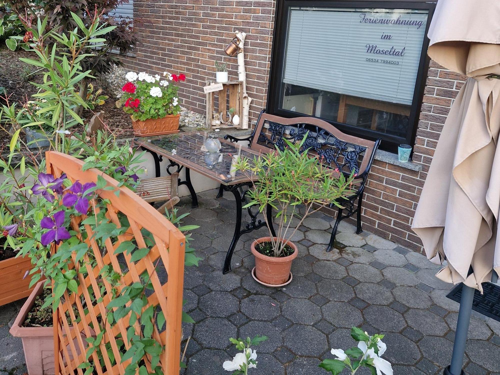 Ferienwohnung Im Moseltal Veldenz المظهر الخارجي الصورة
