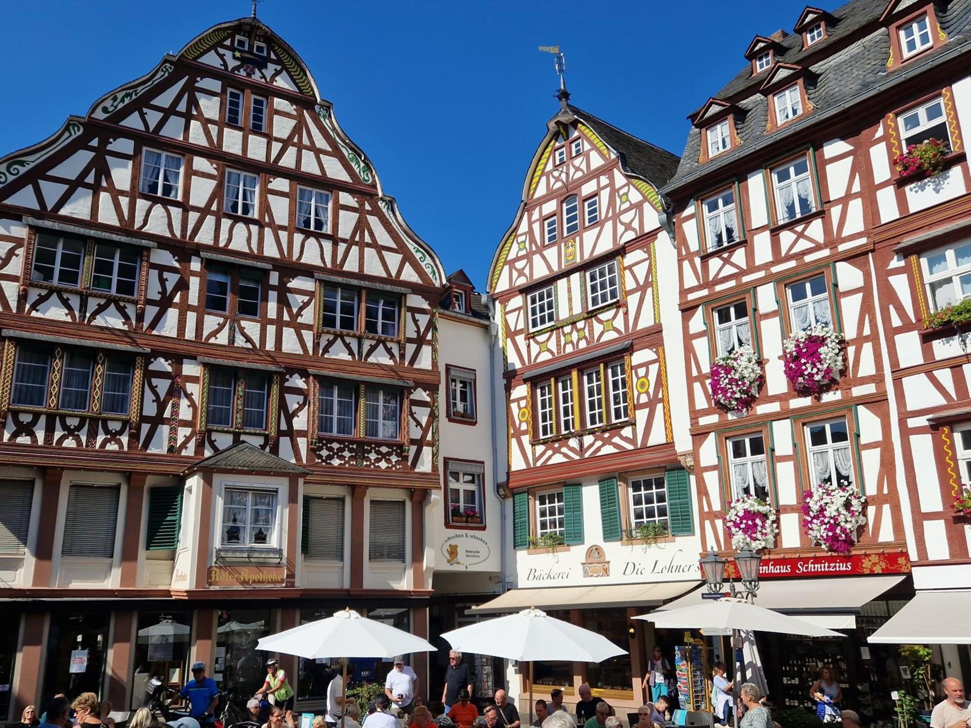 Ferienwohnung Im Moseltal Veldenz المظهر الخارجي الصورة